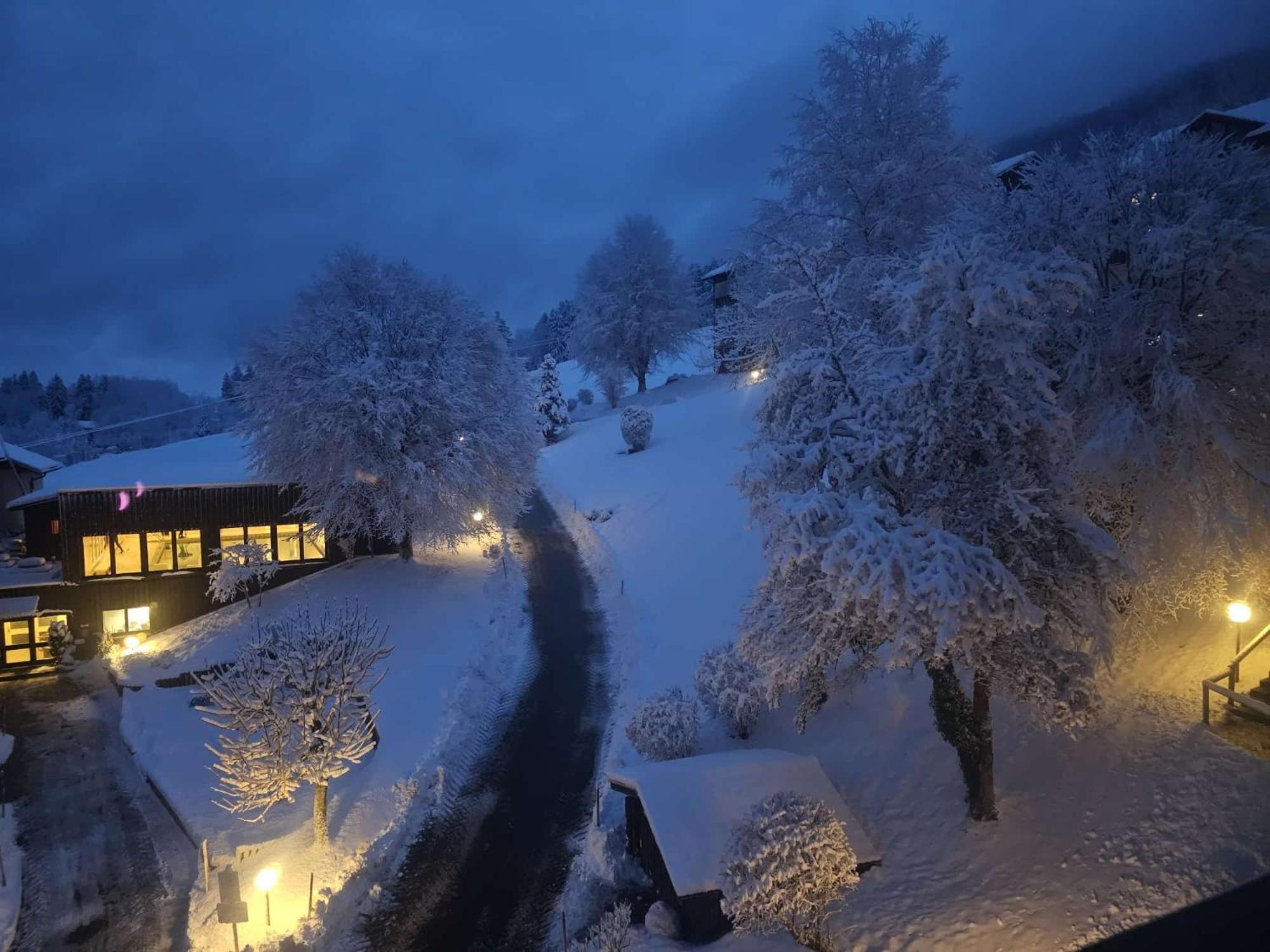 Sonnen-Juwel - Hallenbad-Sauna-2 Getrennte Schlafbereiche-Direkt An Der Skipiste Missen-Wilhams Exterior foto